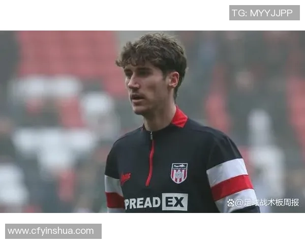 爱尔兰足球历史十大传奇球星盘点及其成就解析 爱尔兰足球历史十大传奇球星盘点及其成就解析